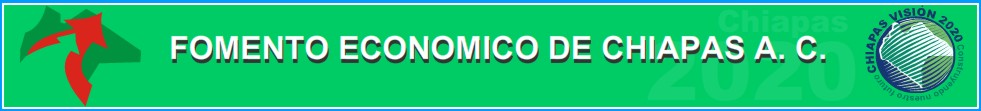 Banner Fec